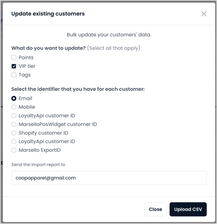 customer-import-step-02-initial-modal-03