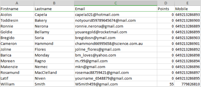 customer_data-Aug-26-2026-01-58-09-1679-AM